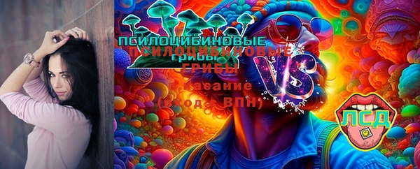амфетамин Богородицк
