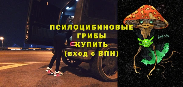 прущая мука Богородск