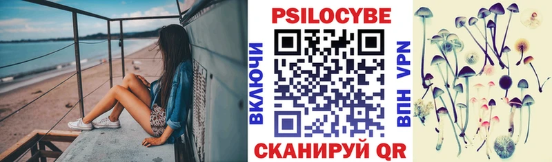 Псилоцибиновые грибы GOLDEN TEACHER  Тюмень 